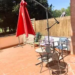Terracito!